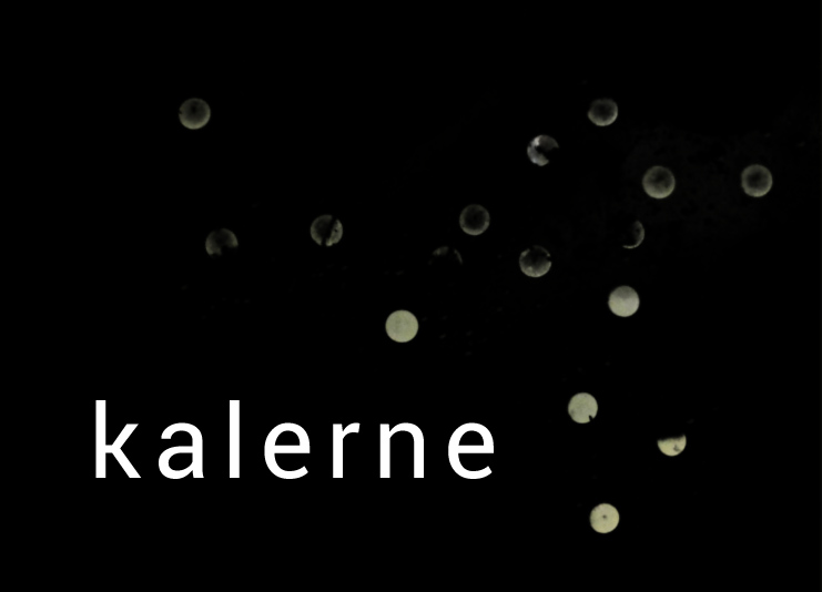 kalerne_eggs