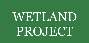 WETLAND project