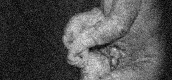 Angelo Vermeulen : une proposition sonore