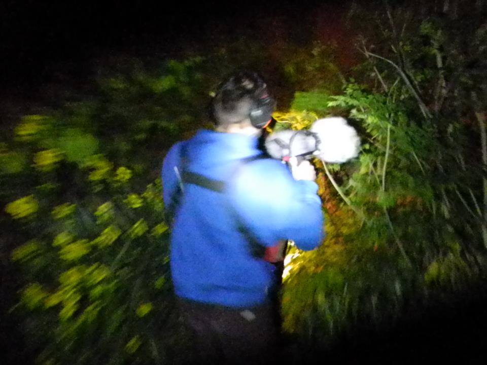 Pali Meursault présente les artistes du label Universinternational