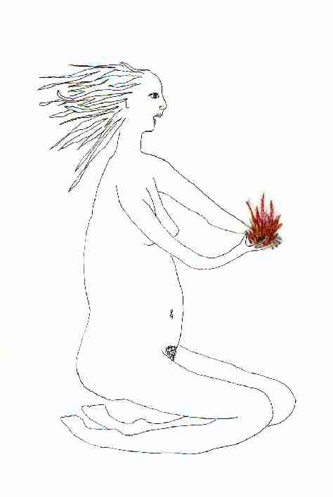 Ana Igluka interroge le merveilleux 2/2